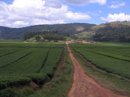 How well has Rwanda healed 25 years after the&nbsp;genocide?