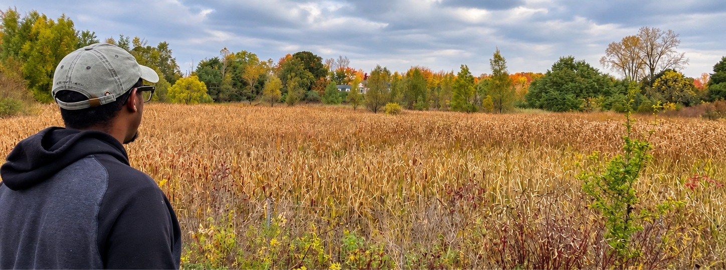 Albert Gasake, seen from behind, looking out across an autumn field